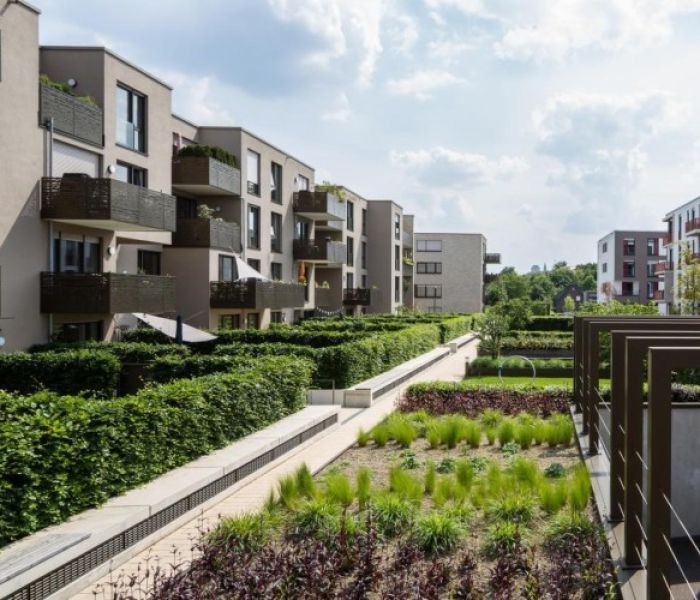 Ein Vorzeigeprojekt für blaugrüne Infrastruktur. (Foto: Optigrün international AG)