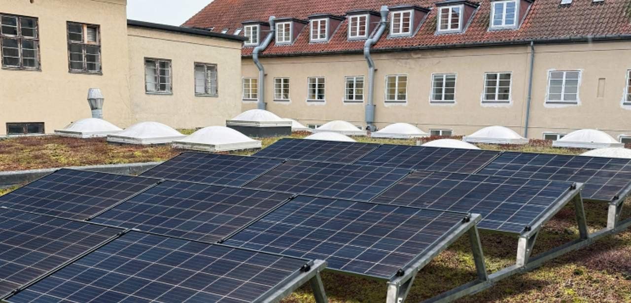 TRITON XL Strebe sorgt für Stabilität und exakte Modulpositionierung Werkzeuglose TRITON flora Lösung fixiert PV-Module sicher ohne (Foto: T.Werk GmbH)