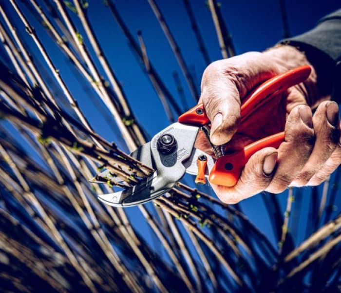 Die Vorteile der Hybrid-Amboss-Schere zeigt sich schnell (Foto: Gebr. Schröder GmbH, Original LÖWE)